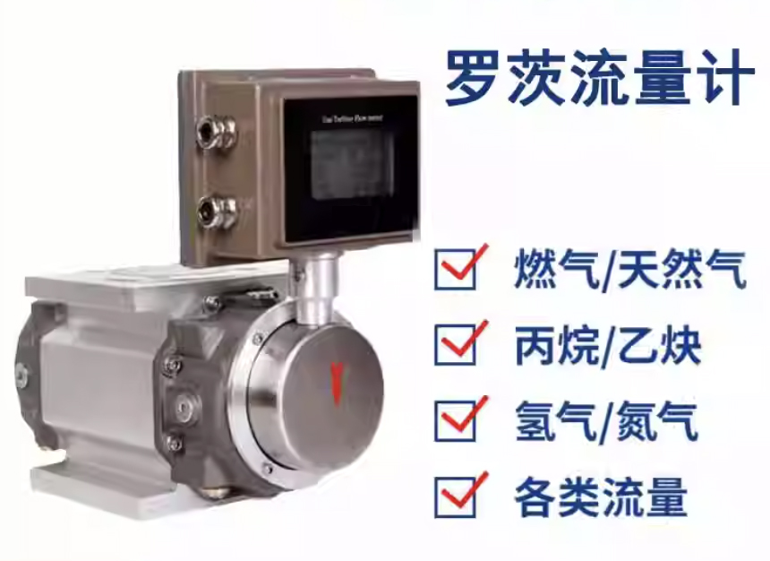 DN100氣體羅茨流量計